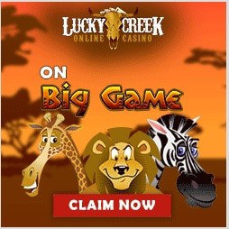 Casino Casino