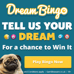 Bingo Bingo